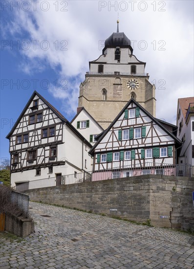 Half-timbered houses