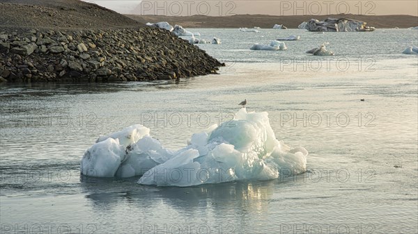 Icebergs in the bay of Yoekulsarlon