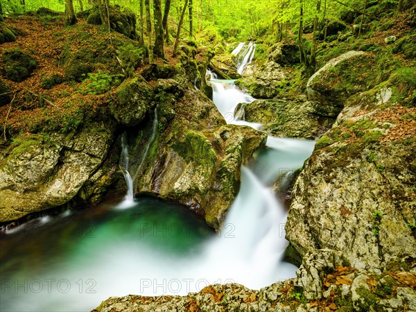 Lepenjica Torrent