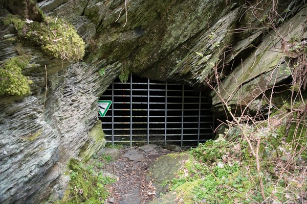 Old gallery in the Eifel National Park