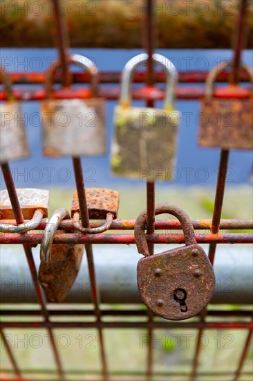 Padlocks on a lattice fence