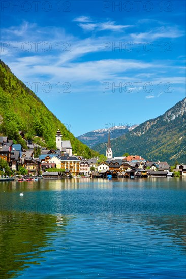 Swan in lake against Hallstatt village on Hallstatter See in Austrian alps. Salzkammergut region