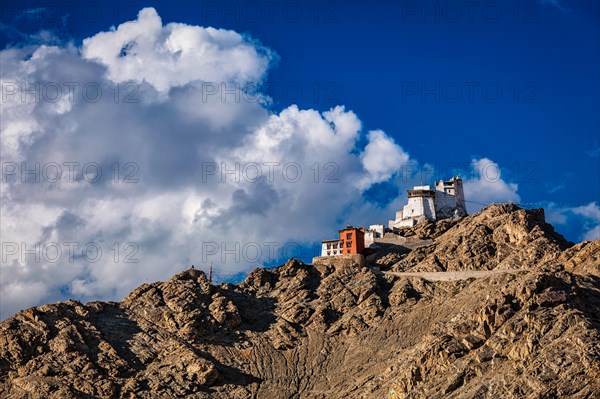 Namgyal Tsem gompa and fort. Leh