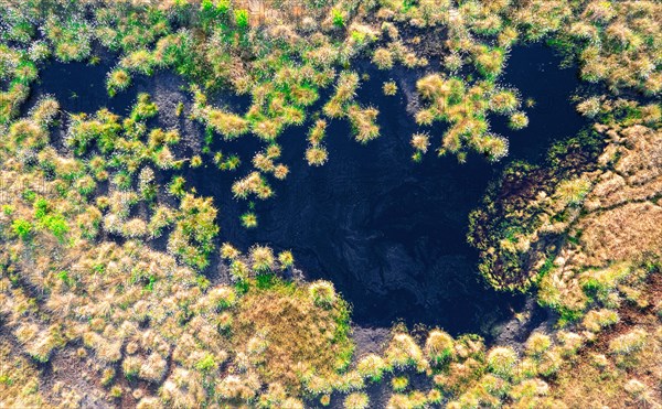 Drone photograph of bog waters