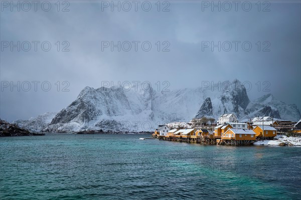 Yellow rorbu houses of Sakrisoy fishing village with snow in winter. Lofoten islands