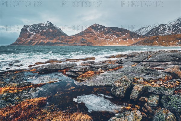 Rocky coast of fjord of Norwegian sea in winter. Lofoten islands