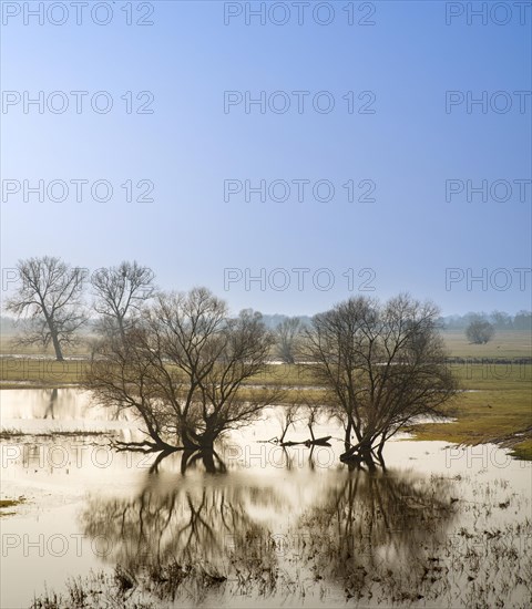 River landscape on the Elbe near Wittenberge