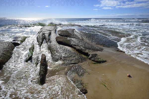 Smooth rocks on the beach