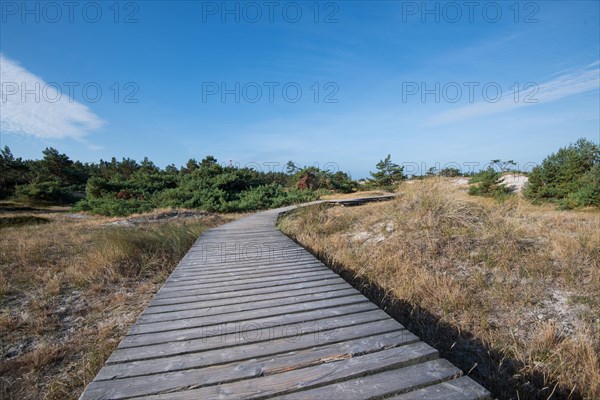 Wooden plank path through the dune