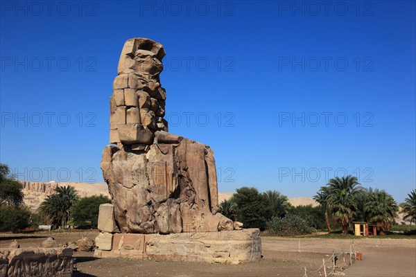 The Memnon Colossi at Luxor