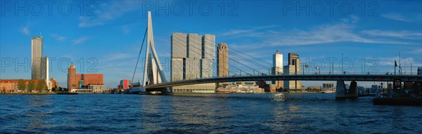 Panorama of Rotterdam cityscape with Erasmus bridge over Nieuwe Maas river on sunset. Netherlands