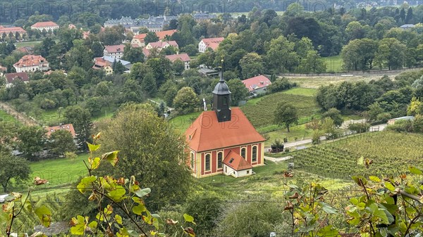 View of the vineyard church and the vineyards near Pillnitz