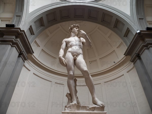 Statue of David by Michelangelo