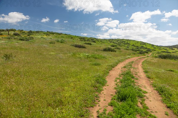 Dirt road in lush green meadow leading into the hills