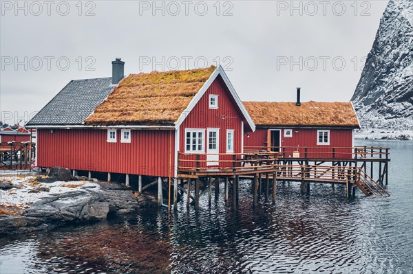 Traditional red rorbu house with grass covered roof in Reine village on Lofoten Islands