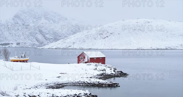 Panorama of traditional red rorbu house and fjord shore with heavy snow in winter. Lofoten islands