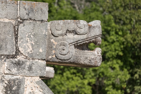 Mayan jaguar figurehead sculptures at the archaeological site in chichen itza