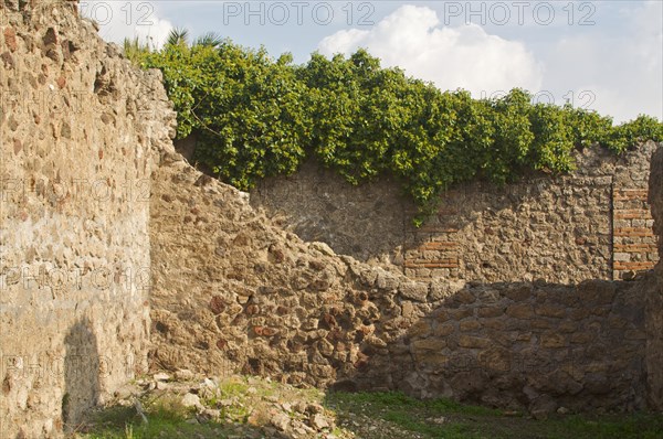 Cobblestone street and ancient ruins of pompeii