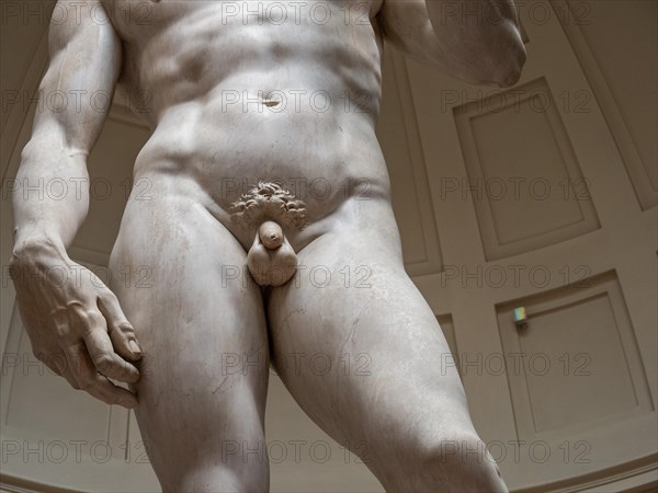 Statue of David by Michelangelo