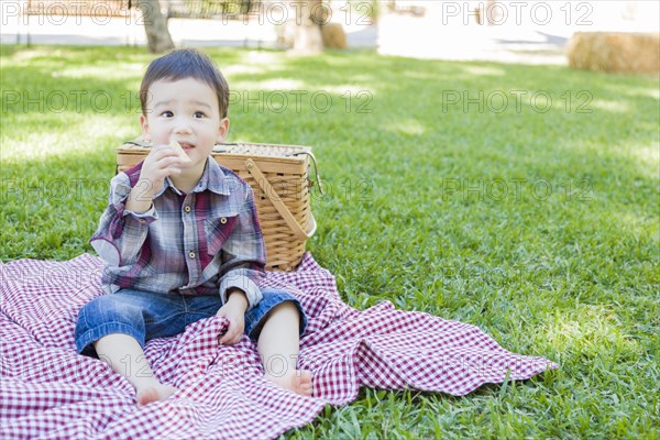 Cute young mixed-race boy sitting in park near picnic basket