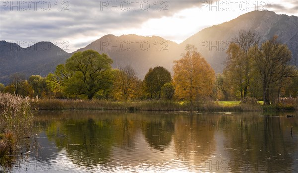 Trees at Lake Kochel in autumn