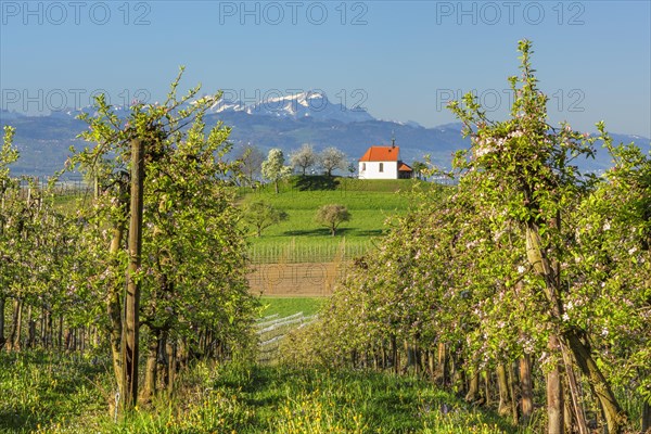 St. Anthony's Chapel with view of the Saentis