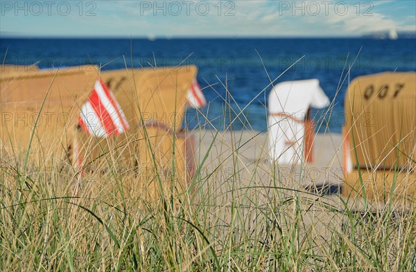 Beach chairs standing behind dune grass
