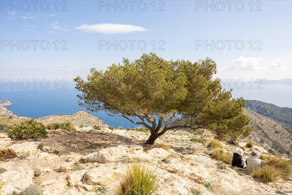 View from Talaia d'Alcudia