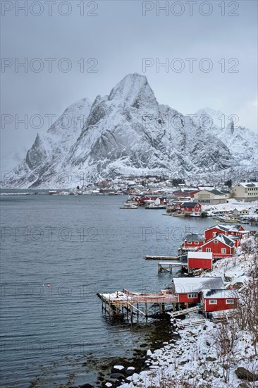 Reine fishing village on Lofoten islands with red rorbu houses in winter with snow. Norway