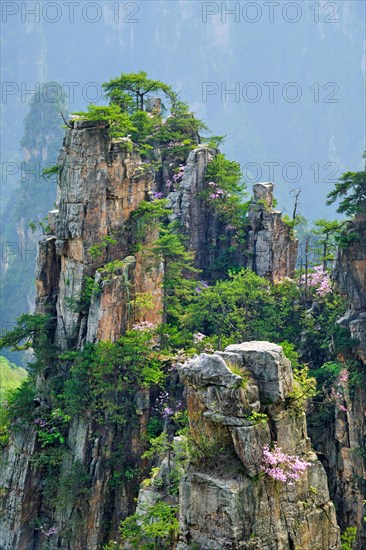 Famous tourist attraction of China