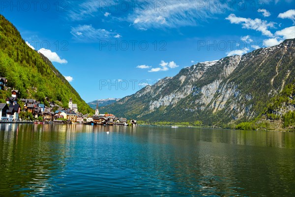 Swan in lake against Hallstatt village on Hallstatter See in Austrian alps. Salzkammergut region