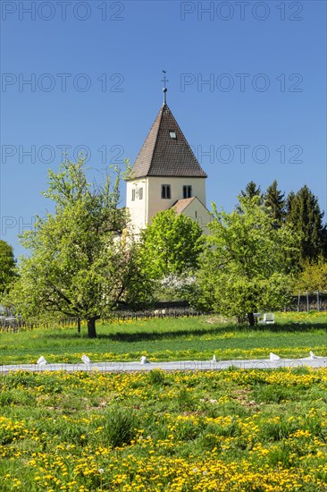 Church of St. George