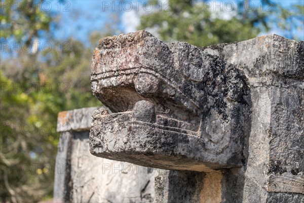 Mayan jaguar figurehead sculptures at the archaeological site in chichen itza