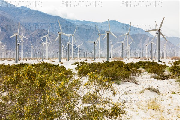Dramatic wind turbine farm in the desert of California