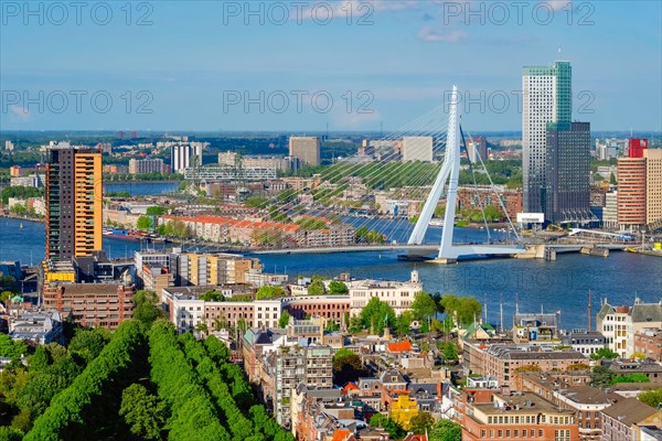 View of Rotterdam city and the Erasmus bridge Erasmusbrug over Nieuwe Maas river from Euromast