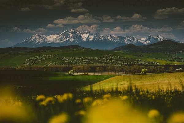 Snowy mountain peaks