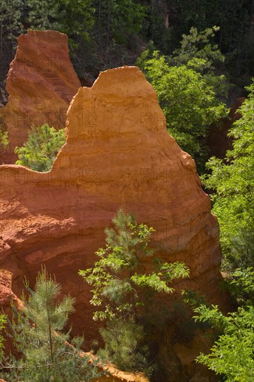 Ochre nature trail