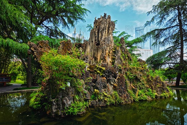 Pond in Wangjiang Pavilion