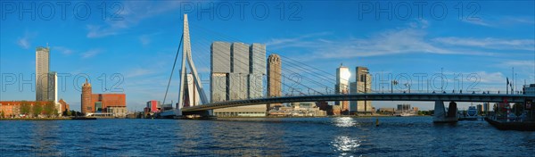 Panorama of Rotterdam cityscape with Erasmus bridge over Nieuwe Maas river on sunset. Netherlands