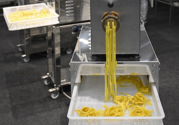 Pasta machine noodles