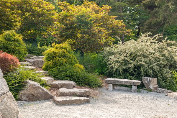 Beautiful garden setting with stepping stones