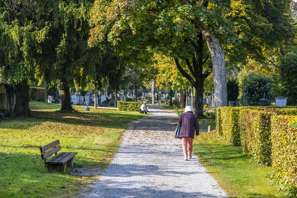 Old woman walking in the park