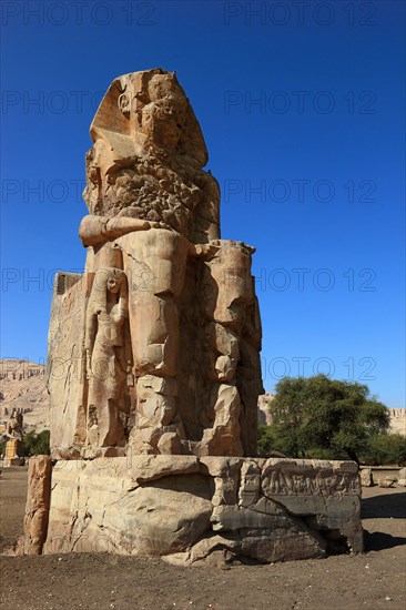 The Memnon Colossi at Luxor