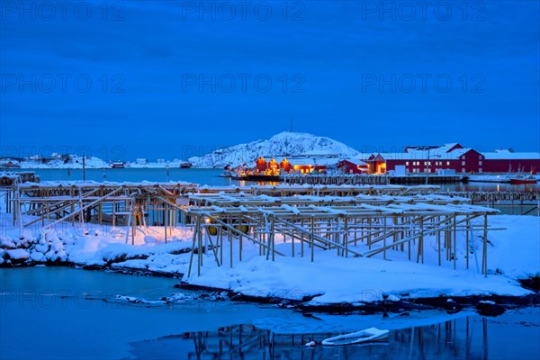 Drying flakes for stockfish cod fish in Reine village illuminated at night in winter. Lofoten islands