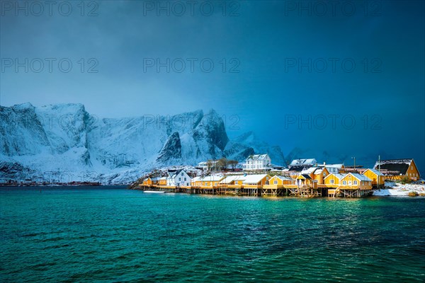 Yellow rorbu houses of Sakrisoy fishing village with snow in winter. Lofoten islands