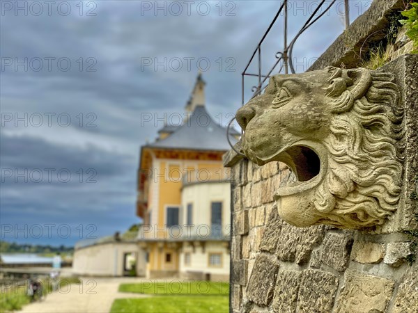 Detail of a lion's head on the wall