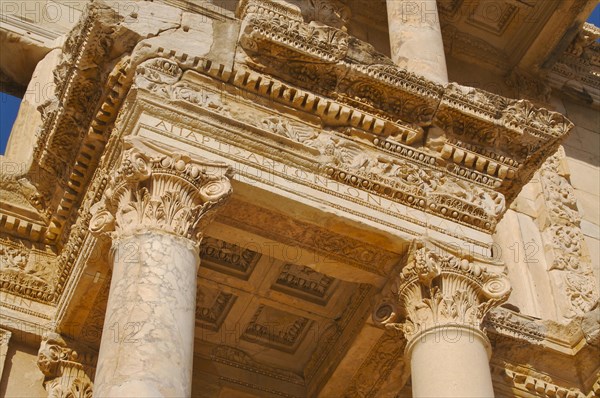 The celsus library detail image