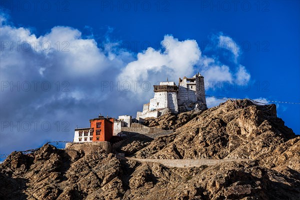 Namgyal Tsem gompa and fort. Leh