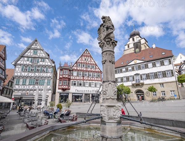 Historic market square with market fountain