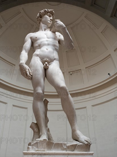 Statue of David by Michelangelo